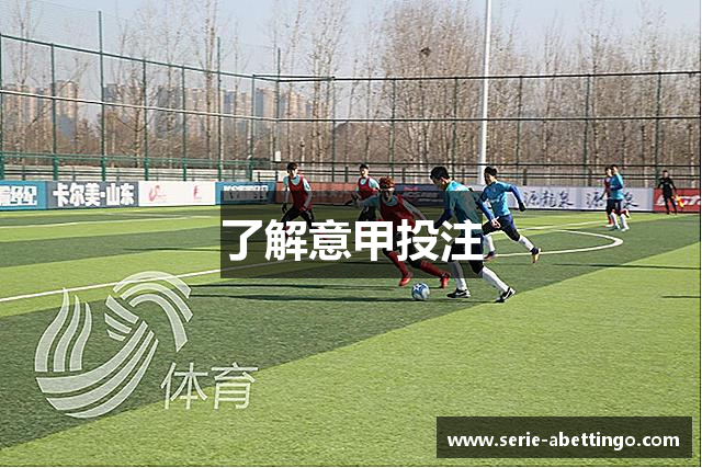 了解意甲投注
